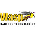 wasp